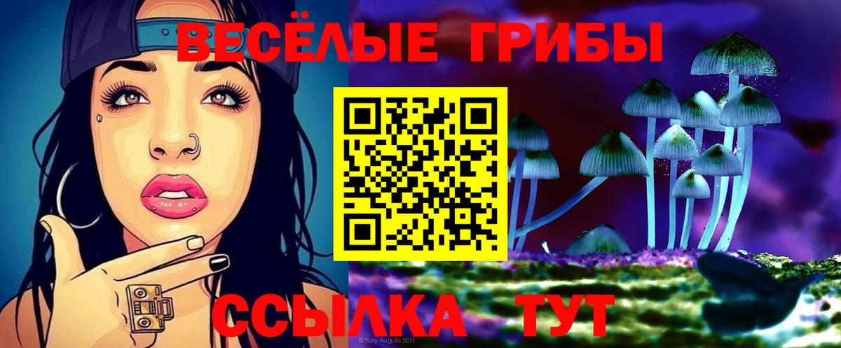 Псилоцибиновые грибы прущие грибы Сызрань
